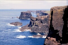 1988_0004793_K349