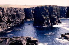 1988_0004794_K350