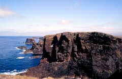 1988_0004795_K351