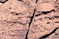 1988_0004798_K354