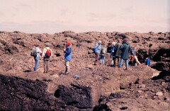 1988_0004799_K355