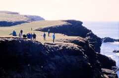 1988_0004800_K356