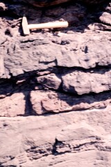 1988_0004805_K361
