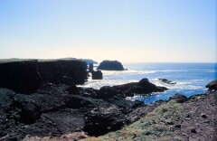 1988_0004810_K366