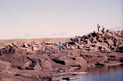 1988_0004814_K370