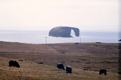 1988_0004816_K372