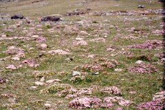1988_0004820_K376