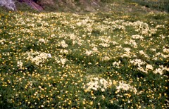 1988_0004841_K397
