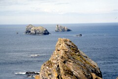 1988_0004848_K404