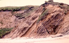 1988_0004861_K417