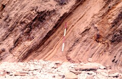 1988_0004865_K421