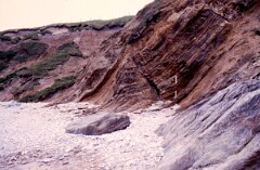 1988_0004867_K423