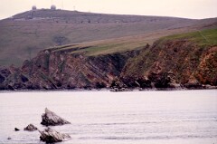 1988_0004869_K425