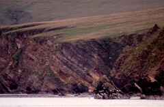 1988_0004870_K426