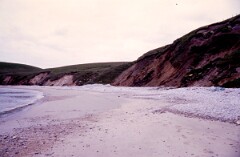 1988_0004872_K428