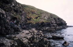 1988_0004882_K438
