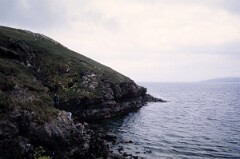 1988_0004883_K439