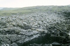 1988_0004891_K447