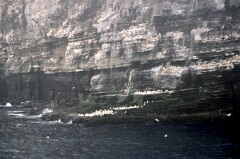 1988_0004893_K449