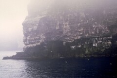1988_0004896_K452