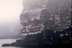 1988_0004897_K453