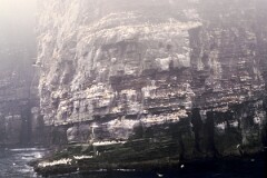 1988_0004898_K454