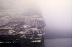 1988_0004900_K456