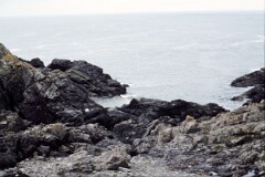 1988_0004906_K462