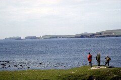 1988_0004908_K464