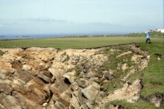 1988_0004909_K465