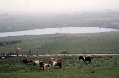 1988_0004918_K474