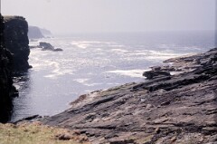1988_0004923_K479