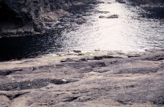 1988_0004925_K481