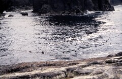 1988_0004926_K482