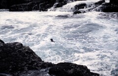 1988_0004927_K483