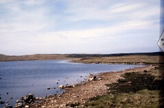 1988_0004930_K486