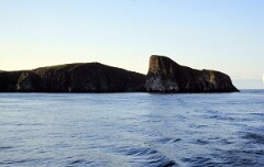 1988_0004950_K505