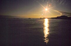 1988_0004951_K506
