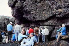 1988_CEH6811_H080