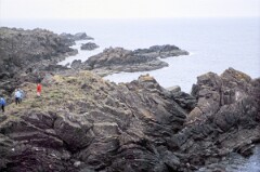 1988_CEH6816_H085