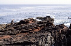 1986_CEH6803_H072