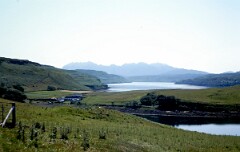 1981_CEH4822_B489