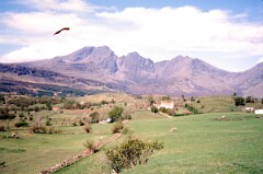 1981_CEH4826_B493