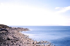 1981_CEH4827_B494