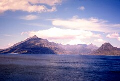 1981_CEH4828_B495