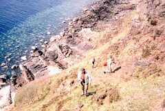 1981_CEH4831_B498
