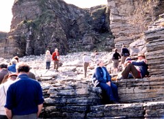 1981_CEH4832_B499