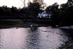 1981_CEH4833_B500