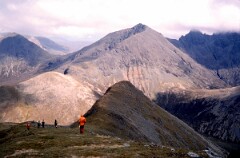 1981_CEH4848_B515