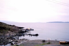 1981_CEH4850_B517